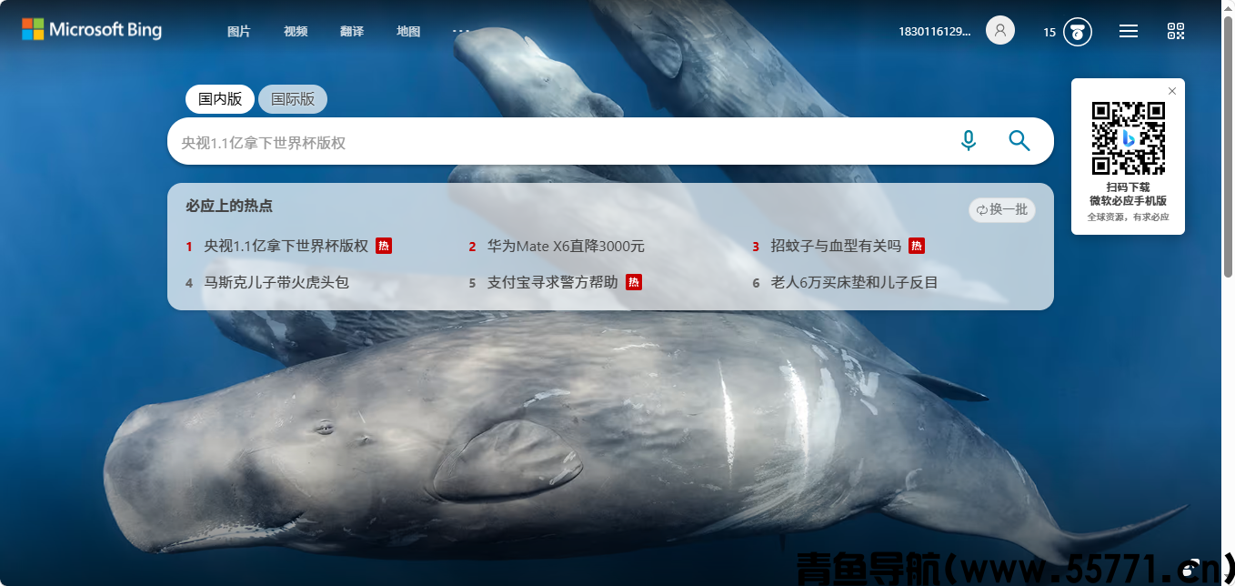 必应搜索页面截图-青鱼导航