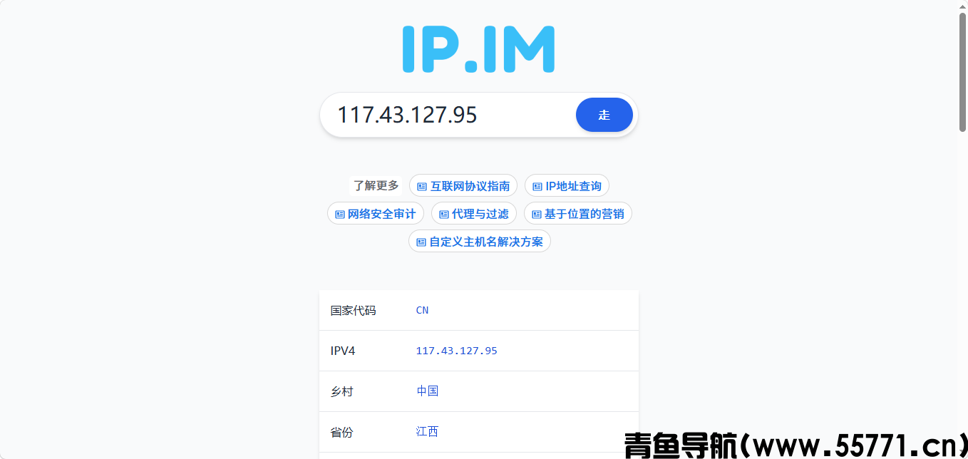 IP 查询页面截图-青鱼导航