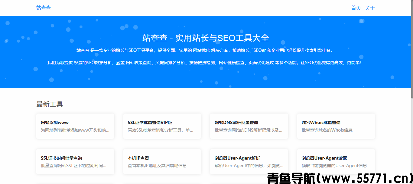 免费批量站长工具哪个好用？站查查多功能运维工具详解