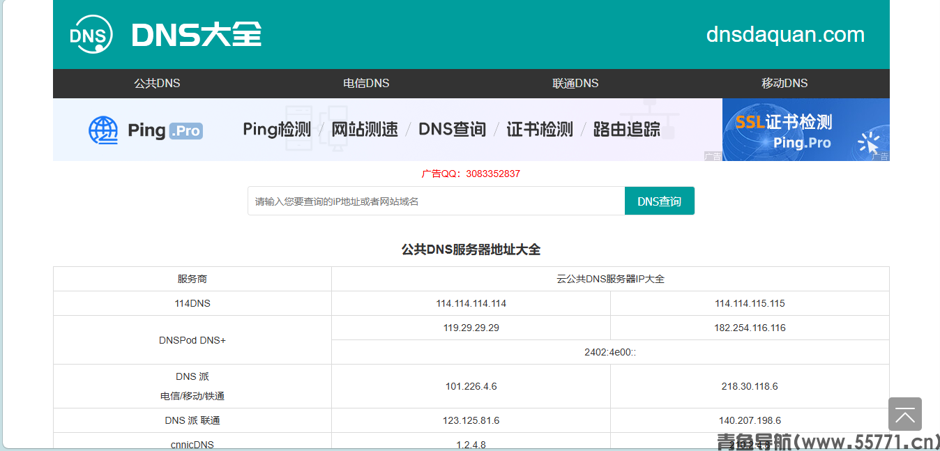DNS大全页面截图-青鱼导航