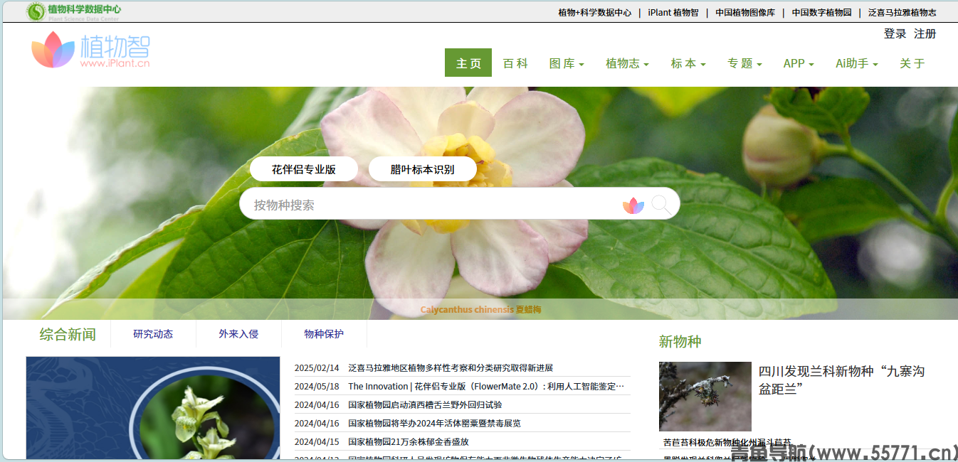 植物智页面截图-青鱼导航